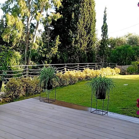 Sirius - Summertime Stars *