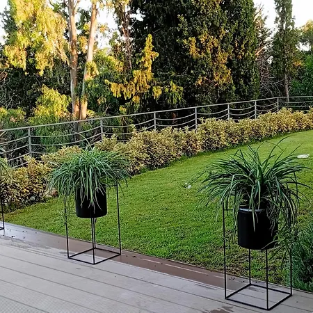 Sirius - Summertime Stars